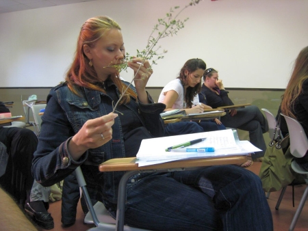 הרבליסט קליני - רפואת צמחים אינטגרטיבית